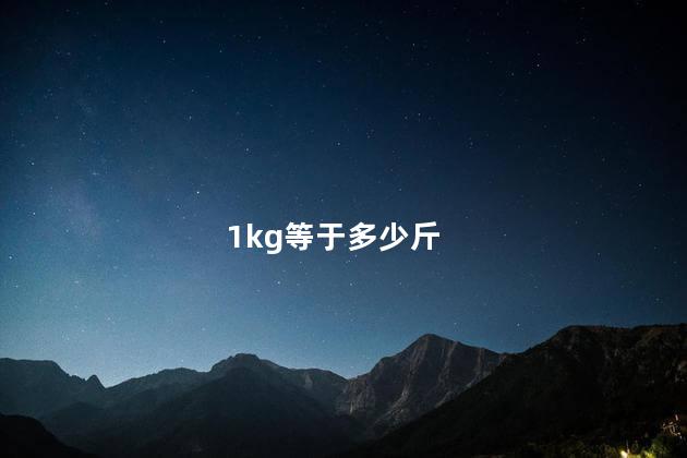 1kg等于多少斤