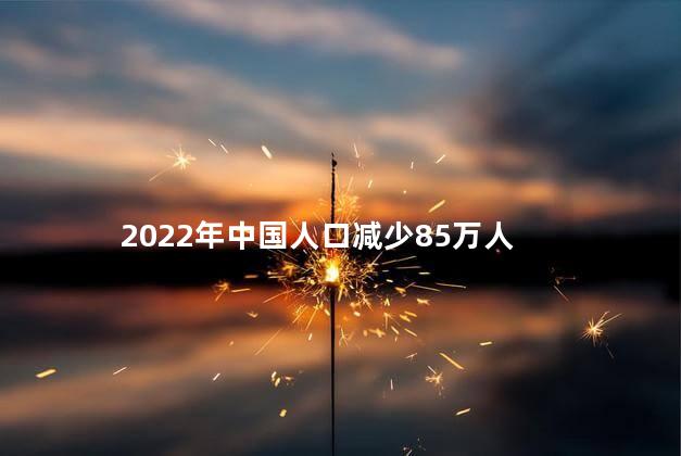 2022年中国人口减少85万人
