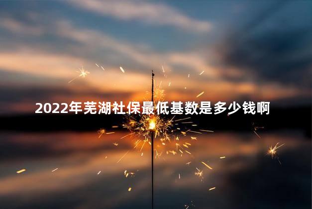 2022年芜湖社保最低基数是多少钱 芜湖是几线城市啊