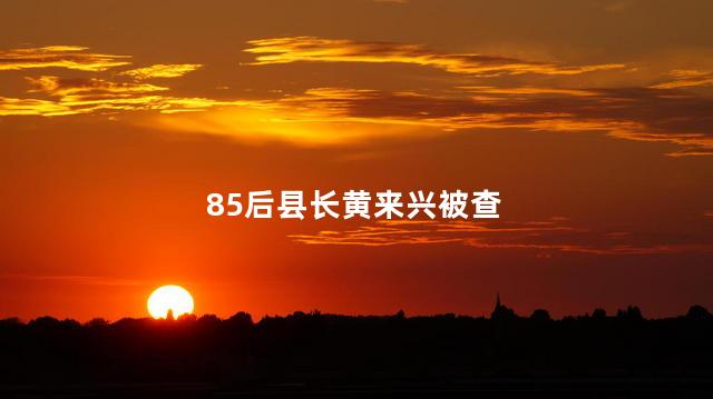 85后县长黄来兴被查