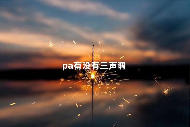 pa有三声调吗 lu的拼音带两点吗