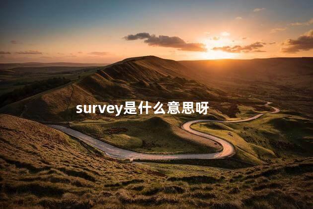 survey是什么意思 survey可以做动词吗