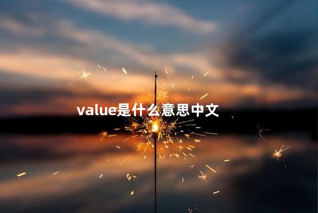 value是什么意思 value是什么牌子