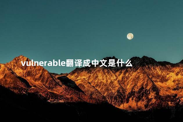 vulnerable翻译成中文是什么 vulnerable可以形容人吗