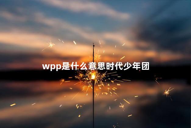 wpp是什么意思 wpp和磕碗盆有区别吗