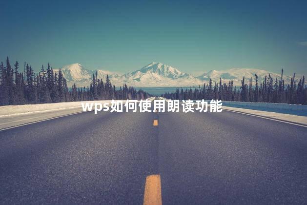 wps如何使用朗读功能 wps是word文档吗