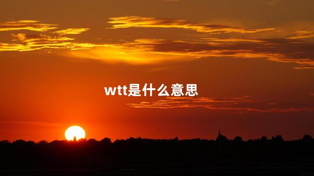 wtt是什么意思 wtt可以设置成中文吗