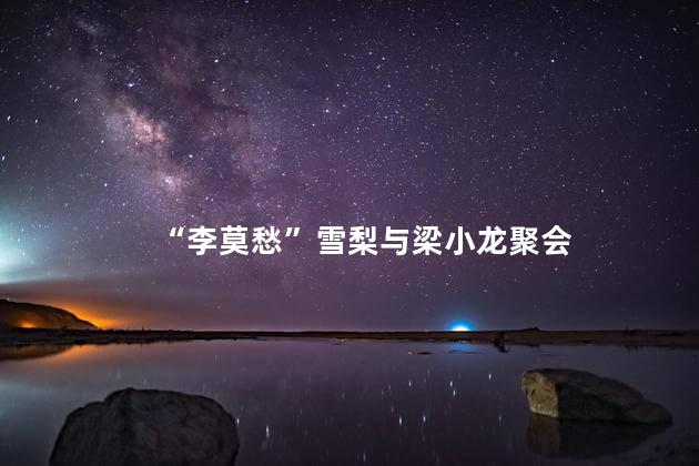 “李莫愁”雪梨与梁小龙聚会