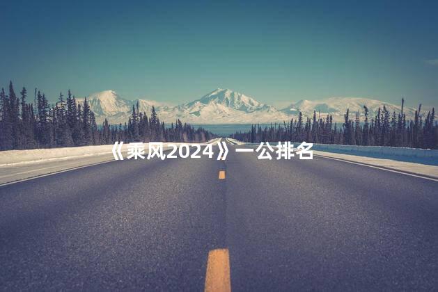 《乘风2024》一公排名