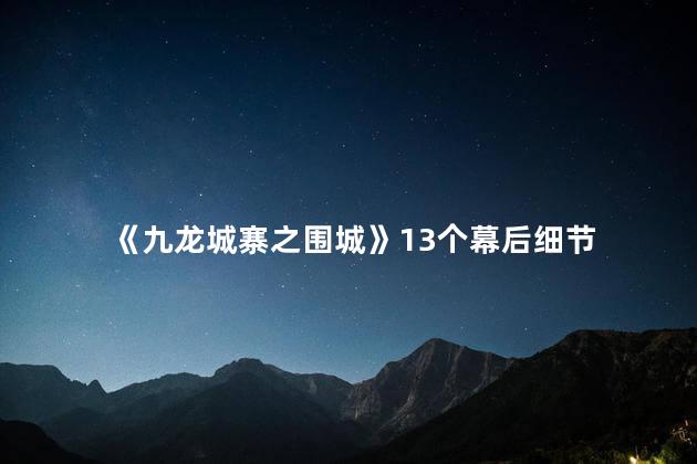 《九龙城寨之围城》13个幕后细节