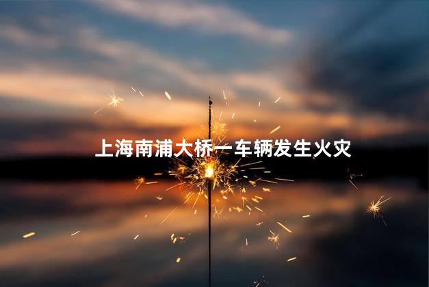 上海南浦大桥一车辆发生火灾