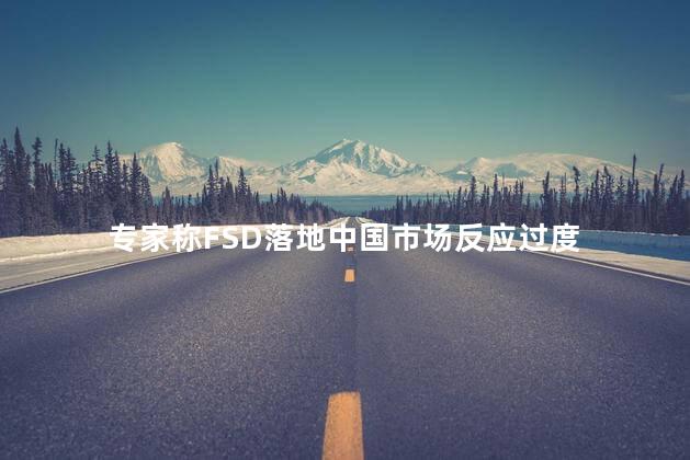 专家称FSD落地中国市场反应过度