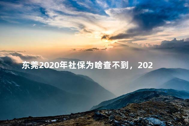 东莞2020年社保为啥查不到，2020年东莞社保缴费为什么查不到缴费记录