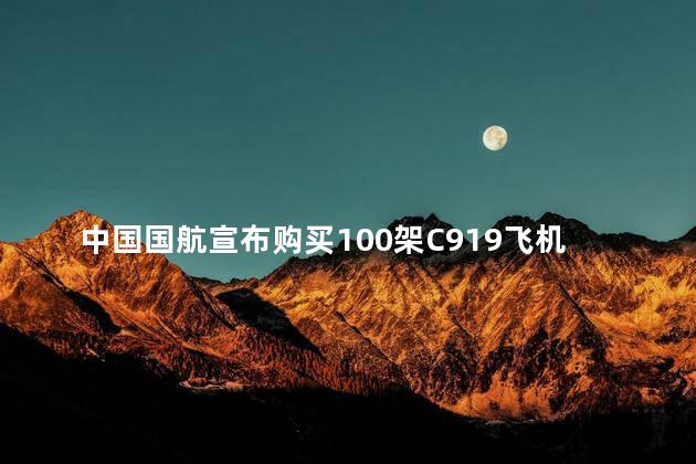 中国国航宣布购买100架C919飞机