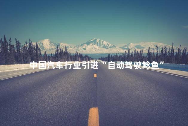 中国汽车行业引进“自动驾驶鲶鱼”
