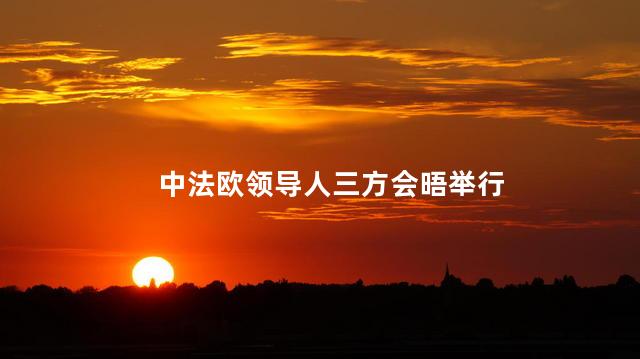中法欧领导人三方会晤举行