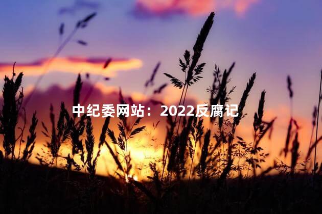 中纪委网站：2022反腐记