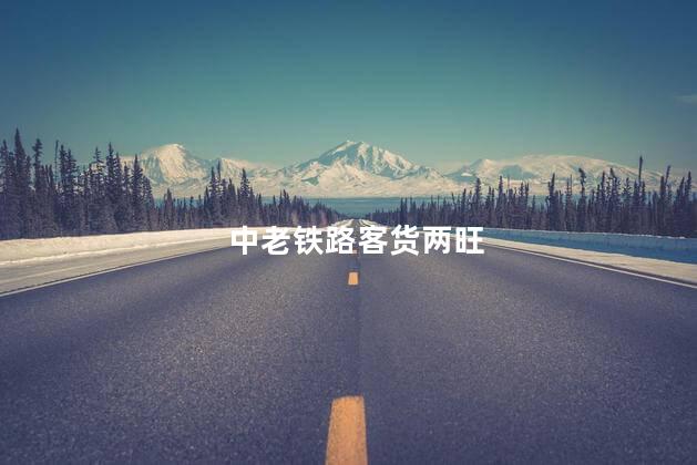 中老铁路客货两旺