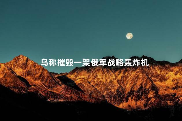 乌称摧毁一架俄军战略轰炸机