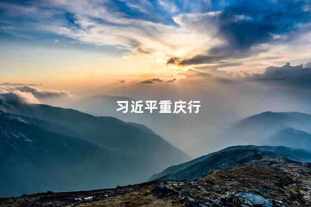 习近平重庆行