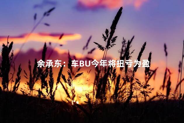 余承东：车BU今年将扭亏为盈