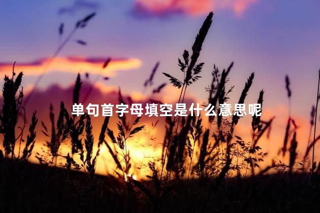 单句首字母填空是什么意思呢，英语首字母填空是什么意思