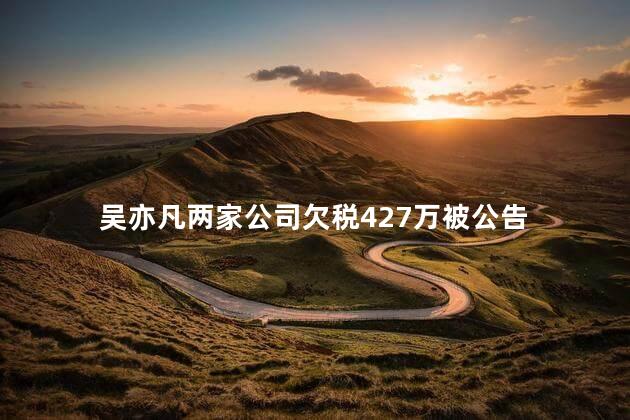 吴亦凡两家公司欠税427万被公告
