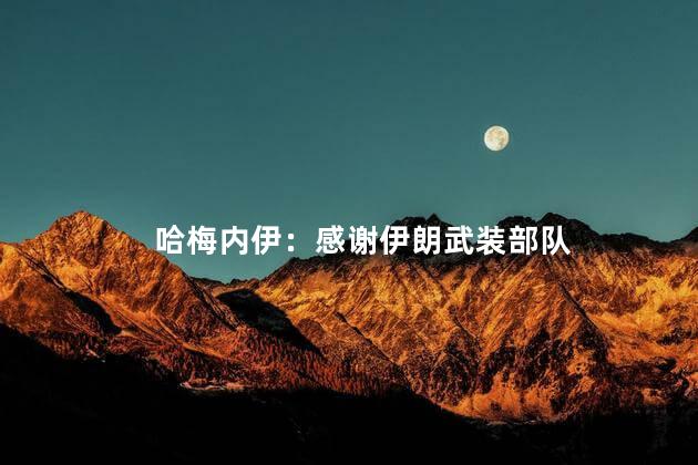 哈梅内伊：感谢伊朗武装部队