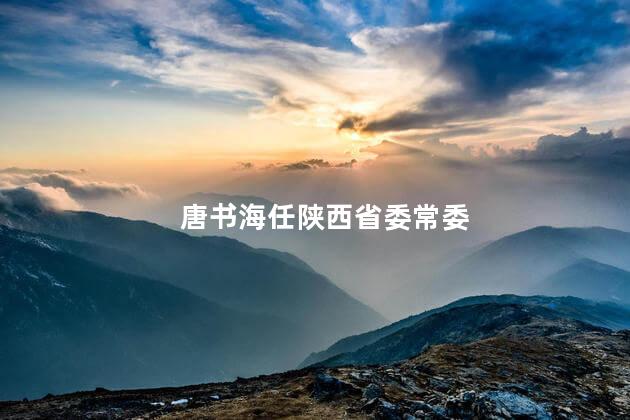 唐书海任陕西省委常委