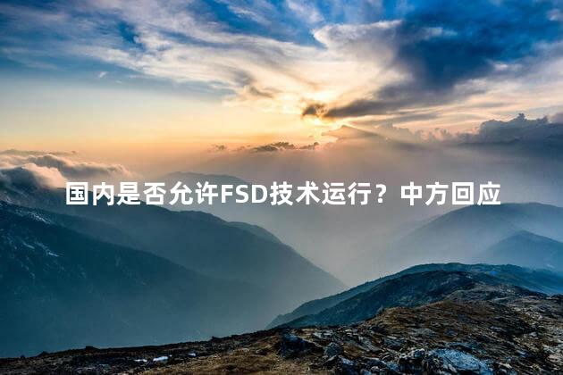 国内是否允许FSD技术运行？中方回应