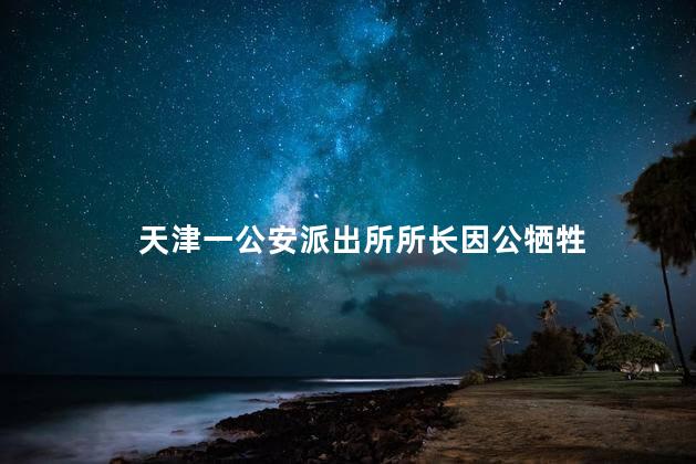 天津一公安派出所所长因公牺牲