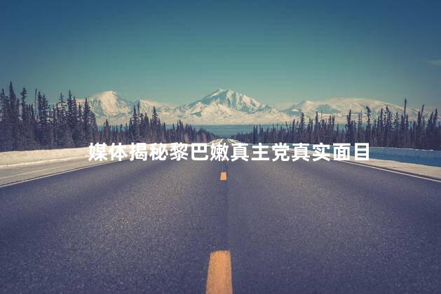 媒体揭秘黎巴嫩真主党真实面目