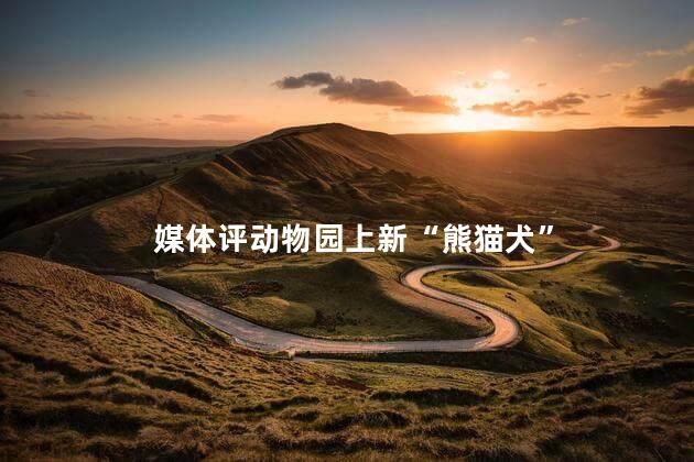 媒体评动物园上新“熊猫犬”