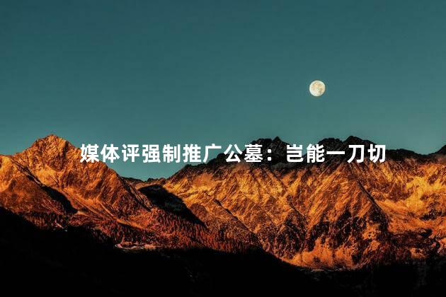 媒体评强制推广公墓：岂能一刀切