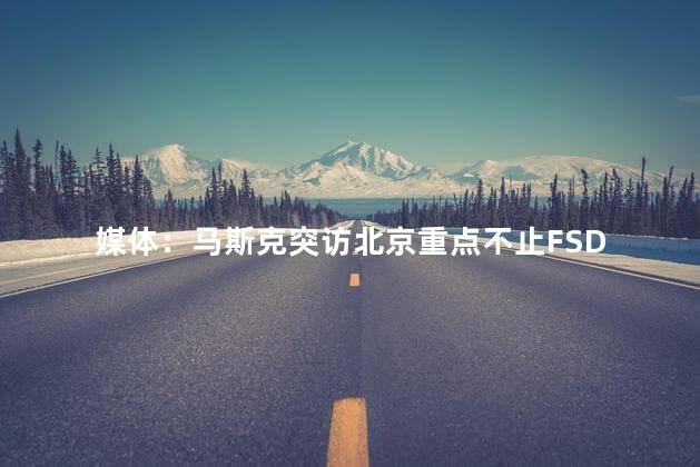 媒体：马斯克突访北京重点不止FSD