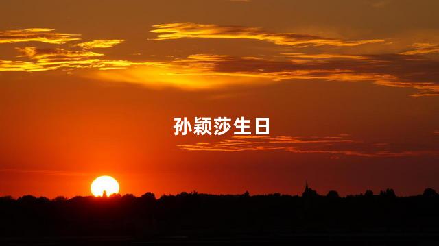 孙颖莎生日