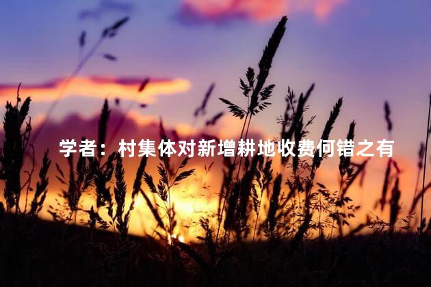 学者：村集体对新增耕地收费何错之有