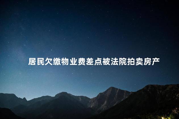 居民欠缴物业费差点被法院拍卖房产