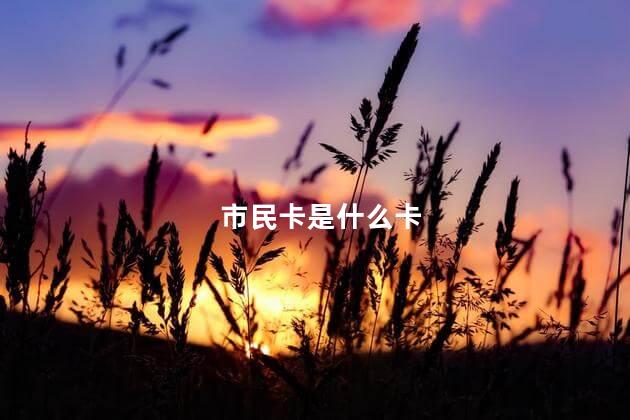 市民卡是什么 市民卡是医保卡吗