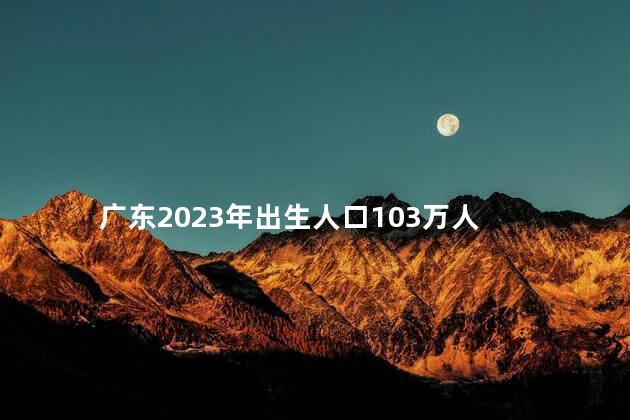 广东2023年出生人口103万人