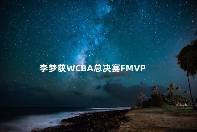 李梦获WCBA总决赛FMVP