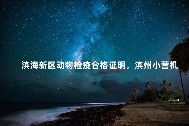 滨海新区动物检疫合格证明，滨州小营机动车检测站