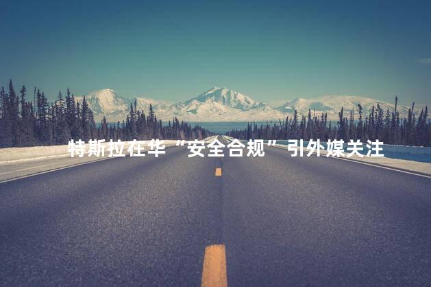 特斯拉在华“安全合规”引外媒关注