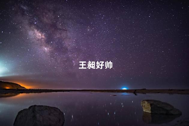 王昶好帅