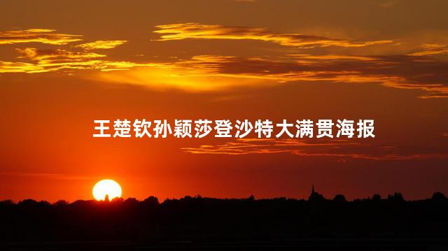 王楚钦孙颖莎登沙特大满贯海报