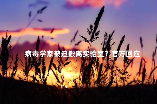 病毒学家被迫搬离实验室？官方回应