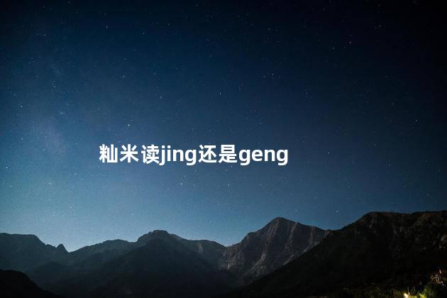 粳米读jing还是geng 粳米的正确读音是什么