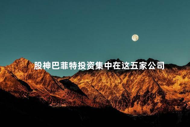 股神巴菲特投资集中在这五家公司