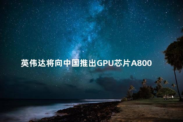 英伟达将向中国推出GPU芯片A800