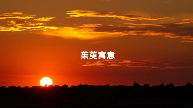 茱萸象征着什么 茱萸是艾草吗